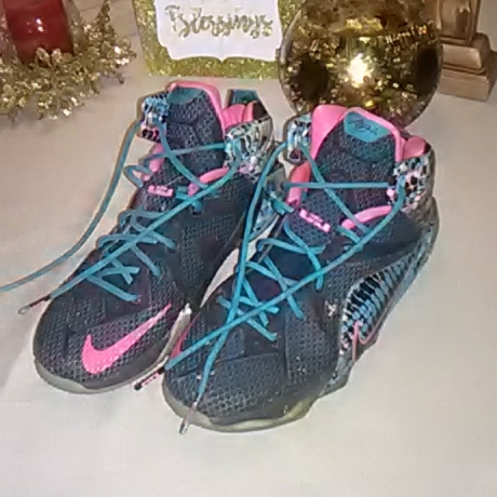 Lebron high tops